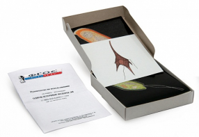 Модель-аппликация "Одноклеточные водоросли" (набор из 24 карт) - fgospostavki.ru - Тихорецк