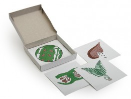 Модель-аппликация "Размножение папоротника" (набор из 8 карт) - fgospostavki.ru - Тихорецк