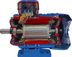 Учебная модель «Электродвигатель асинхронный в разрезе» - fgospostavki.ru - Тихорецк