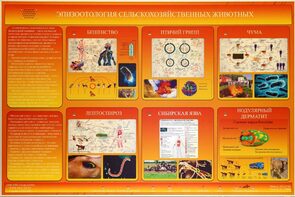 Электрифицированный стенд «Эпизоотология сельскохозяйственных животных» - fgospostavki.ru - Тихорецк