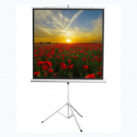 Экран на штативе DSKD-1105  - fgospostavki.ru - Тихорецк