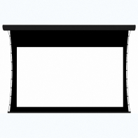 Экран настенный с электроприводом DSTPX-16918 - fgospostavki.ru - Тихорецк