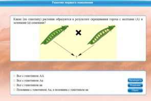 Интерактивные курсы. Биология 11 класс. Базовый. - fgospostavki.ru - Тихорецк