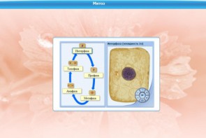 Интерактивные курсы. Биология 6 класс. Базовый - fgospostavki.ru - Тихорецк