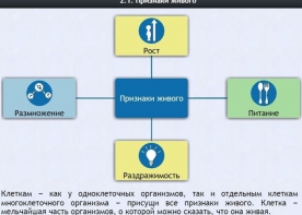 Интерактивные курсы. Биология 5 класс. Базовый - fgospostavki.ru - Тихорецк