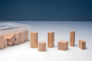 Игровой набор Фребеля "Конструктор" (50 элементов, бук, серия "Красота вокруг нас") - fgospostavki.ru - Тихорецк