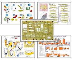 Плакаты ПРОФТЕХ "Сырье и материалы хлебопекарного производства" (20 пл, винил, 70х100) - fgospostavki.ru - Тихорецк