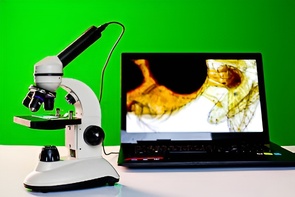Микроскоп школьный с цифровой камерой - fgospostavki.ru - Тихорецк
