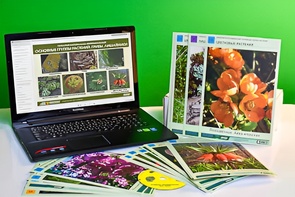 Гербарий натурально-интерактивный "Основные группы растений. Грибы. Лишайники" - fgospostavki.ru - Тихорецк