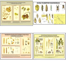 Плакаты ПРОФТЕХ "Вредители и болезни с/х культур и меры борьбы с ними" (11 пл, винил, 70х100) - fgospostavki.ru - Тихорецк
