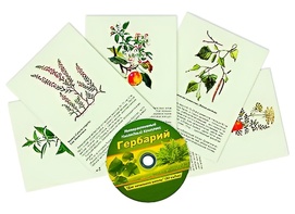 Интерактивный наглядный комплекс "Гербарий "Для начальной школы" - fgospostavki.ru - Тихорецк