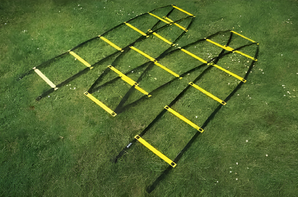 Лестница для тренировок (вариант 1) - fgospostavki.ru - Тихорецк