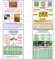 Плакаты ПРОФТЕХ "Классификация овощей" (11 пл, винил, 70х100) - fgospostavki.ru - Тихорецк
