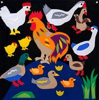 Пособие для слабовидящих детей «Домашние птицы» - fgospostavki.ru - Тихорецк