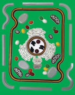 Модель-аппликация "Строение клетки" (набор из 54 пластмассовых фигур) - fgospostavki.ru - Тихорецк