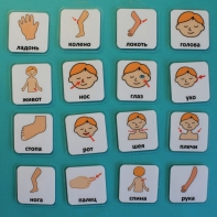 Набор карточек "Части тела" - fgospostavki.ru - Тихорецк
