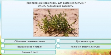 Интерактивные курсы. Окружающий мир 3 класс . Базовый. - fgospostavki.ru - Тихорецк