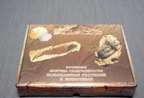 Коллекция "Формы сохранности ископаемых растений и животных" - fgospostavki.ru - Тихорецк