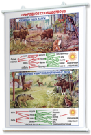 Плакаты по географии России для оформления кабинета. - fgospostavki.ru - Тихорецк