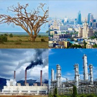 Модель-аппликация Биосфера и человек - fgospostavki.ru - Тихорецк