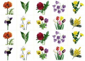 Комплект карточек "Запоминай, играй, считай" - Цветы - fgospostavki.ru - Тихорецк