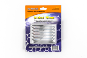 Набор микропрепаратов для микроскопа №5 «Насекомые» - fgospostavki.ru - Тихорецк