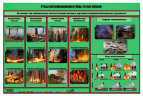 Стенд-планшет электрифицированный «Виды лесных пожаров»  - fgospostavki.ru - Тихорецк