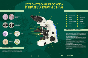 Электрифицированный стенд "Устройство микроскопа и правила работы c ним" - fgospostavki.ru - Тихорецк