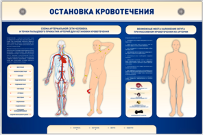 Электрифицированный стенд-тренажер "Остановка кровотечения" - fgospostavki.ru - Тихорецк