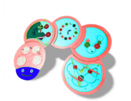 Тактильно-развивающая панель «Гусеница» - fgospostavki.ru - Тихорецк