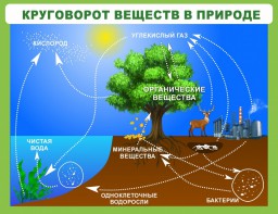 Стенд "Круговорот веществ" - fgospostavki.ru - Тихорецк