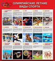 Стенд "Олимпийские летние виды спорта" - fgospostavki.ru - Тихорецк