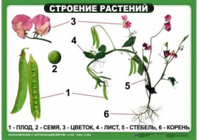Комплект таблиц "Ознакомление с окружающим миром 1-4 класс" - fgospostavki.ru - Тихорецк