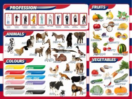 Стенд "Цвета, животные, профессии, фрукты, овощи" - fgospostavki.ru - Тихорецк