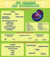 Стенд "От клетки до организма" - fgospostavki.ru - Тихорецк