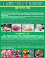 Стенд "Биология в профессии "повар"" - fgospostavki.ru - Тихорецк