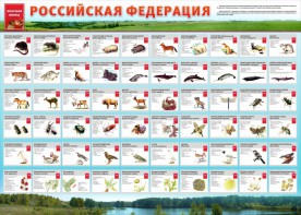Стенд "Красная книга РФ" - fgospostavki.ru - Тихорецк