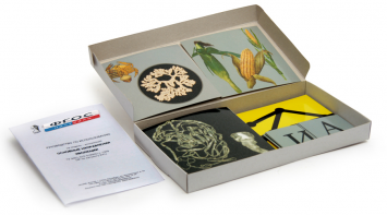 Модель-аппликация "Основные направления эволюции" (набор из 33 карт) - fgospostavki.ru - Тихорецк