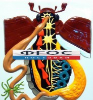 Модель барельефная "Внутреннее строение жука" - fgospostavki.ru - Тихорецк