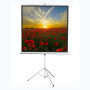 Экран на штативе DSKD-1105  - fgospostavki.ru - Тихорецк