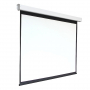 Экран настенный с электроприводом DSEF-16909 - fgospostavki.ru - Тихорецк